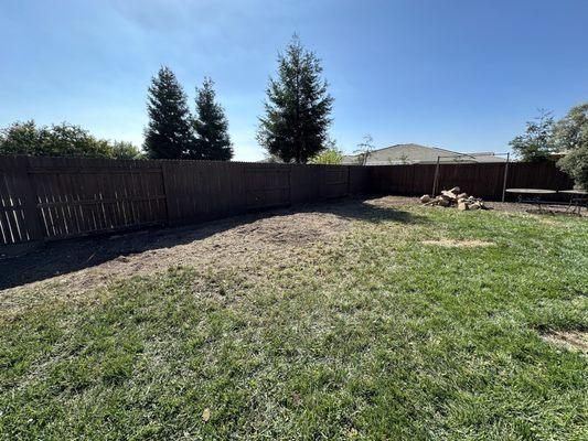 Tree is removed and stump ground into mulch!  I asked to keep the wood, so that's the pile on the right!