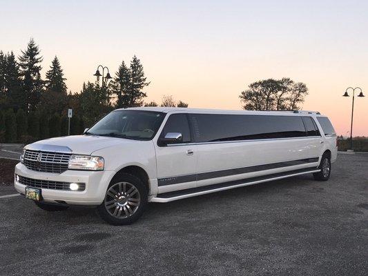 You can find all of our services and the entire fleet of limos and cars on aspenlimotours.com book the best with confidence!