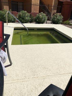 Green and dirty water in hot tub