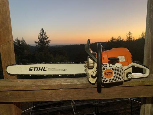 Stihl MS311 purchased from Watsonville Pawn.