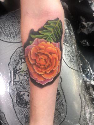 Finished Rose, Color has held really well.