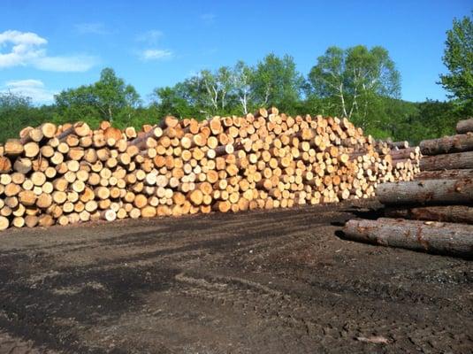 When you buy lumber here - it comes right from the source.