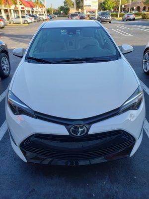 2019 Toyota for Drivers