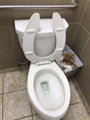 Dirty toilet