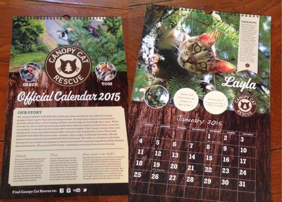 Beautiful Canopy Cat Rescue Calendars!