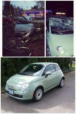 A tree fell on my car, here is a before and after photo. I'm so happy with the service I received here!