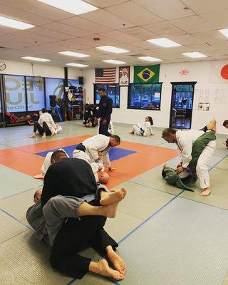 Gracie Technics Jiu-Jitsu Academy