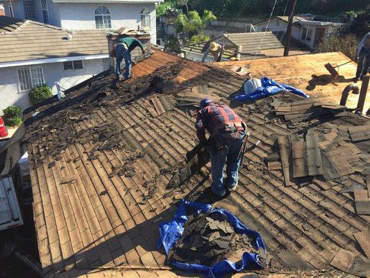 DENALI BUILDERS CA 
 NEW ROOF PROJECT
 MONTEREY PARK CA