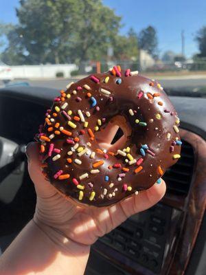 Chocolate donut with rainbow sprinkles