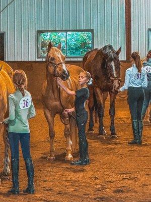 Transitions Equestrian Center