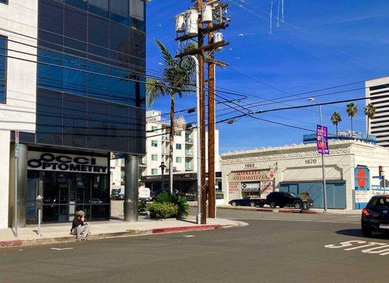 Occi Optometry on the corner of Sawtelle Blvd and Iowa Ave in West Los Angeles.