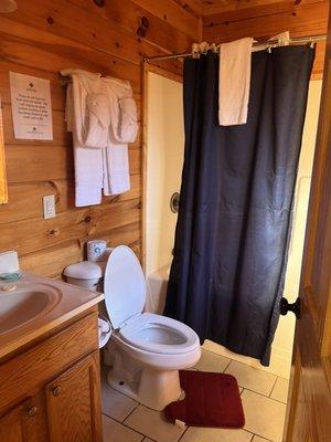 Swimming in paradise cabin main level bathroom