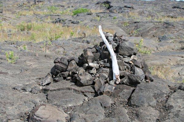 Pu'u Loa Petroglyphs