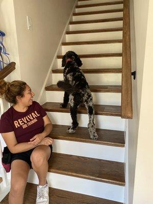 Our pup overcoming his fear of climbing stairs!