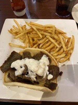 Gyros (no onion, no tomato) and seasoned fries