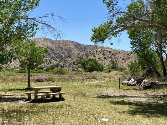 Picnic tables with nice views