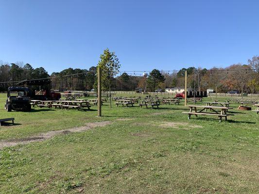 Picnic table outdoor area