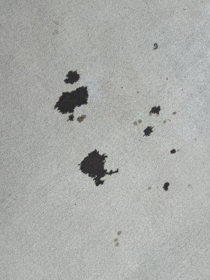 Oil leak & driveway spots