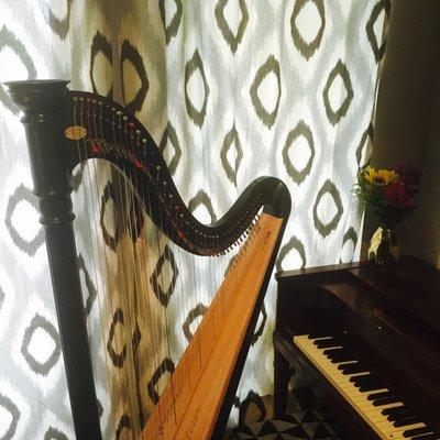 Harp & Piano lessons