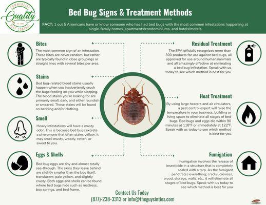 Bed Bug Facts