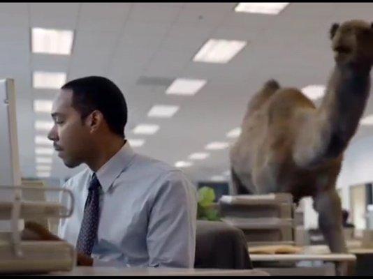 Mike Mike Mike Mike Mike...is the man at Savco according to the Geico Camel