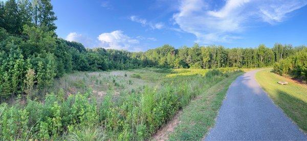 Walking trail around the park