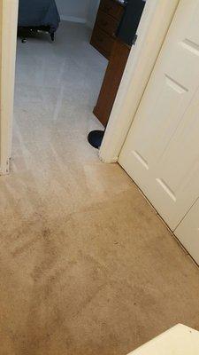 Worst carpet cleaning ever!! I would not recommend them