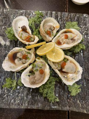 Oysters