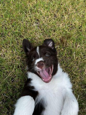 This is Remington. Without Dr. Gebhardt and her team, he wouldn't be here smiling today.