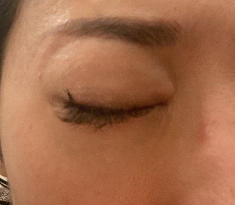 My lashes go crazy and turn 360 degree and keep Poke my eyes and eyelids this was just day 2