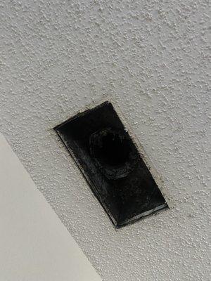 Black mold