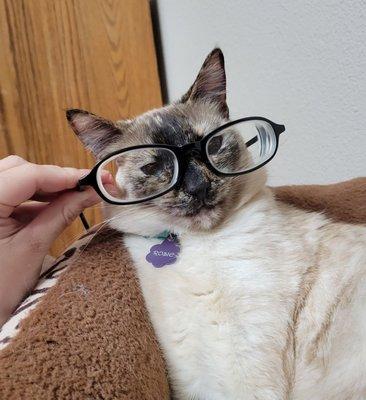 Rosie modeling my new glasses