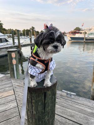 My Girl, Ella posing for a photo on the patio by the harbor.