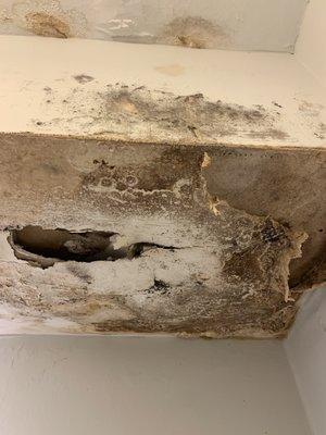 Molded bathroom ceiling on the 8th floor in a tenant's apartment since OCTOBER 2021! MANAGEMENT STILL HAS NOT DID ANYTHING ABOUT IT