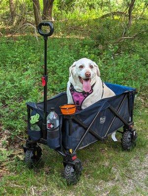 Hiking in the woods