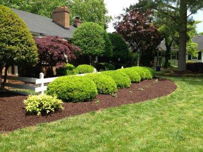 A beautiful mulch job highlights a beautiful lawn