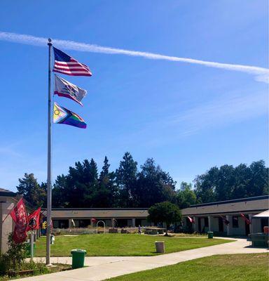 Flags and blue skies