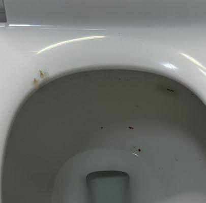 Dirty toilet