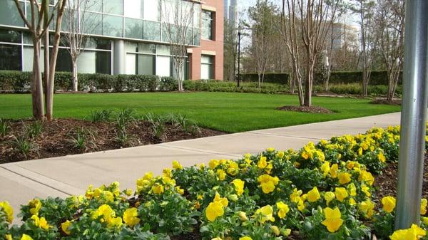 Commercial Landscape Maintenance