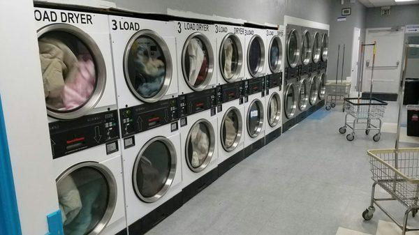 Lots of Dryer