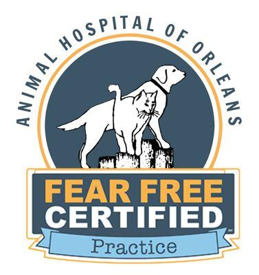 Cape Cod's ONLY Fear Free Certified Practice