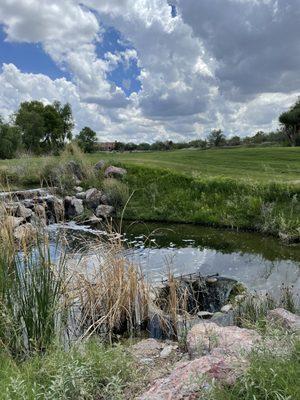 Del Lago Golf Club