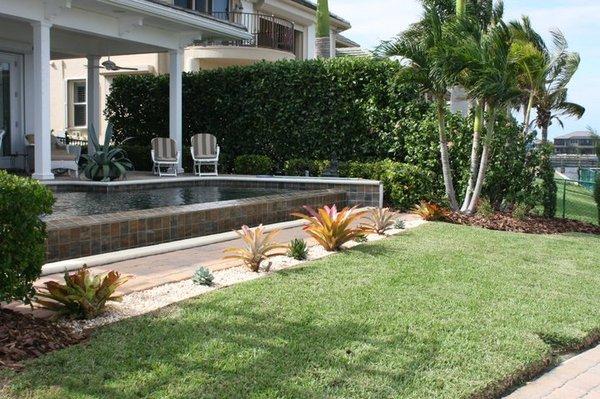 Privacy Hedge with tropical accents poolside