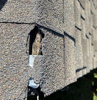 Shingles worn through allowing moisture penetration