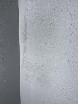 Ceiling mold