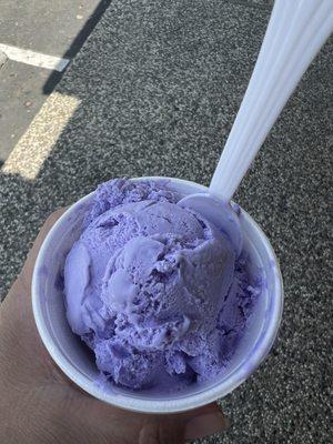 Taro Ice Cream