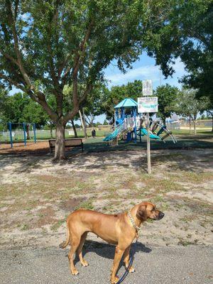 Buffalo Creek Park