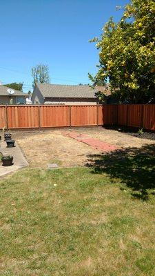 Before-Back Yard