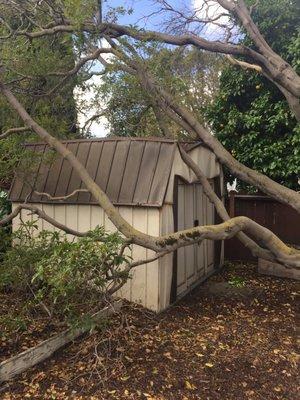 Shed damage from a different view