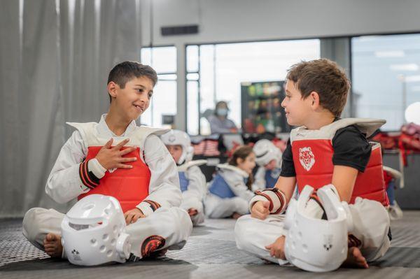 Lions Taekwondo Academy